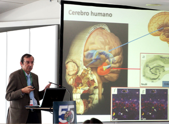 Células madre neurales para tratamientos de enfermedades neurodegenerativas